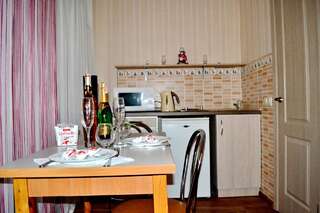 Апартаменты ApartLux Chernigov Чернигов Двухместный номер с 1 кроватью и мини-кухней-4