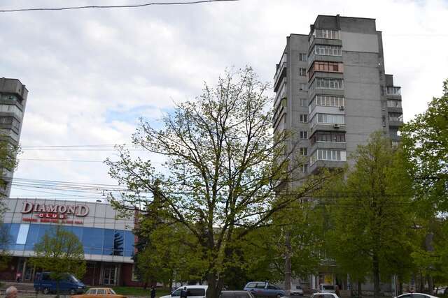 Апартаменты ApartLux Chernigov Чернигов-36